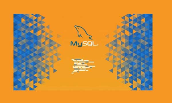 mysql Developer