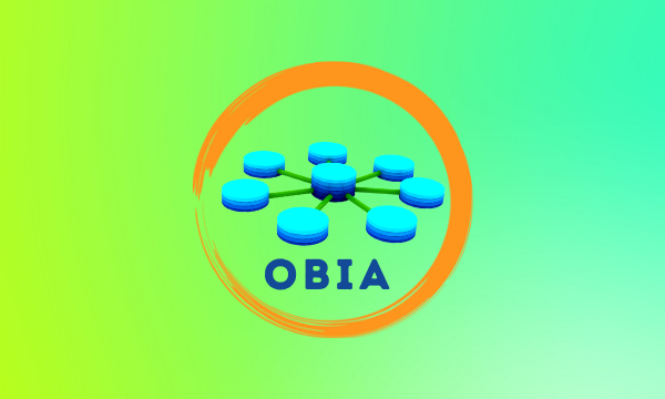 OBIA Training